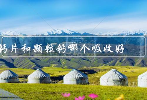 钙片和颗粒钙哪个吸收好