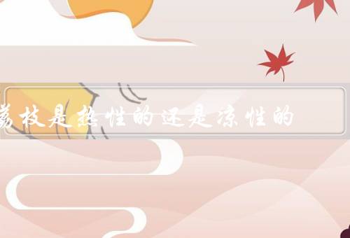 荔枝是热性的还是凉性的