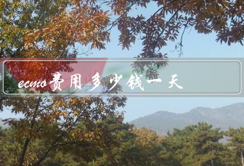 ecmo费用多少钱一天