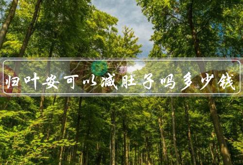 三川归叶安可以减肚子吗多少钱