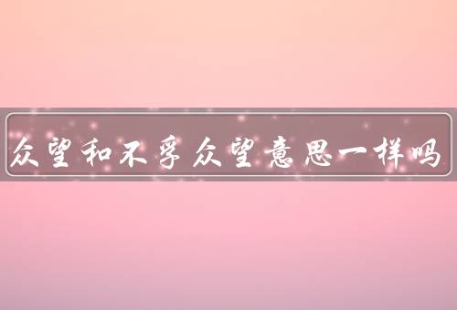 不负众望和不孚众望意思一样吗