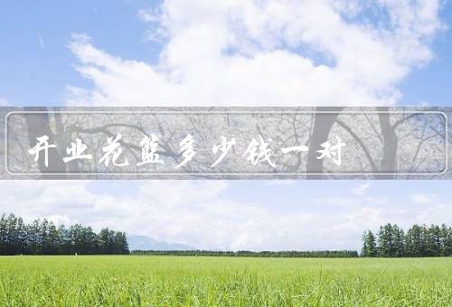 开业花篮多少钱一对