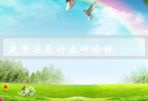 庾澄庆为什么叫哈林