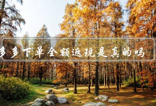 拼多多下单全额返现是真的吗