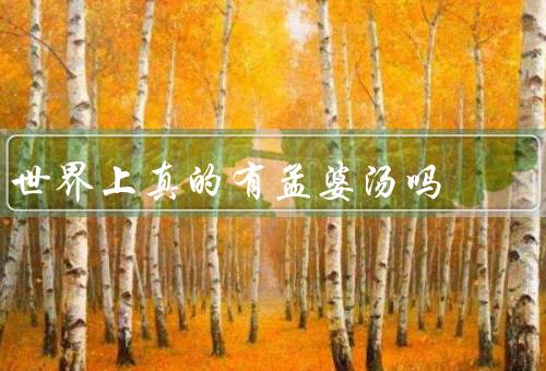 世界上真的有孟婆汤吗