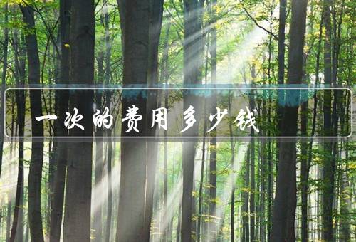 一次的费用多少钱