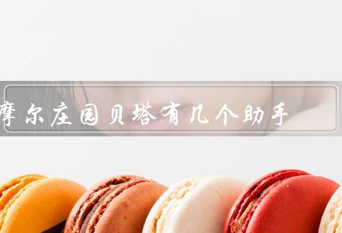 摩尔庄园贝塔有几个助手