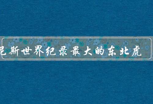 吉尼斯世界纪录最大的东北虎