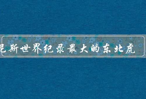 吉尼斯世界纪录最大的东北虎（体型和外貌、生活习性、保护现状）