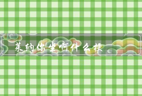 莱纳你坐啊什么梗