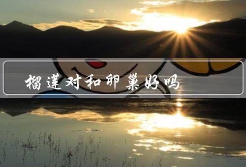 榴莲对和卵巢好吗