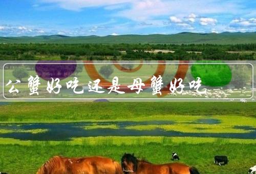 公蟹好吃还是母蟹好吃