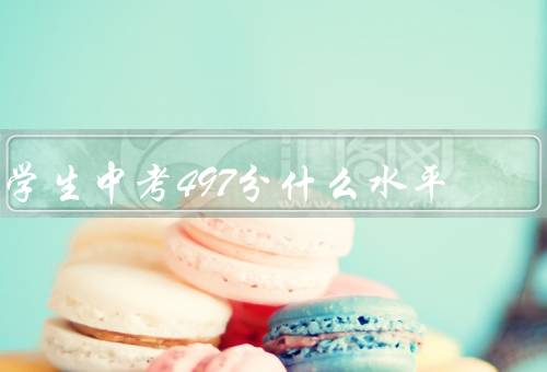 学生中考497分什么水平