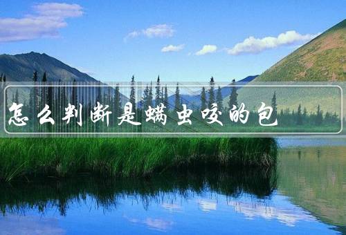 怎么判断是螨虫咬的包