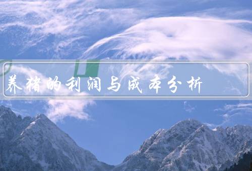 养猪的利润与成本分析