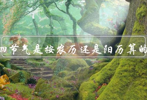 二十四节气是按农历还是阳历算的