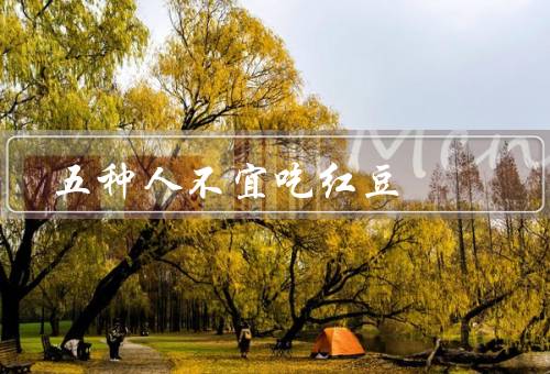 五种人不宜吃红豆