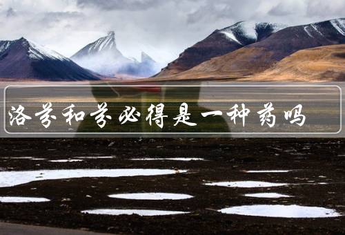 布洛芬和芬必得是一种药吗