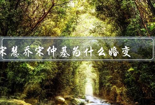 宋慧乔宋仲基为什么婚变