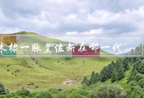 朱棣一脉皇位断在哪一代