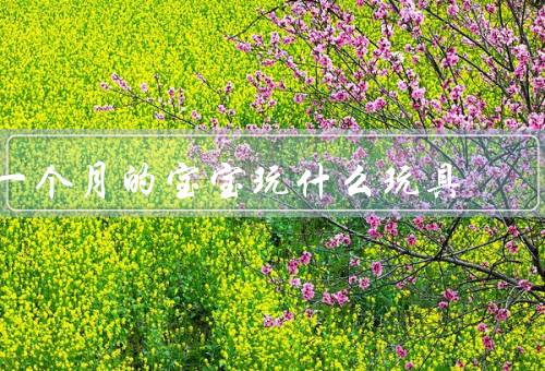 一个月的宝宝玩什么玩具