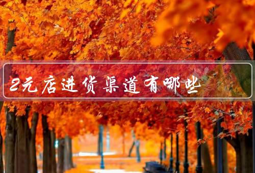 2元店进货渠道有哪些