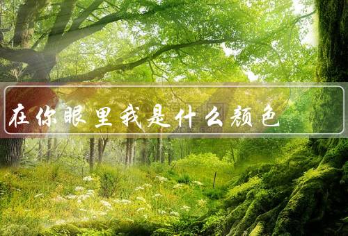 在你眼里我是什么颜色