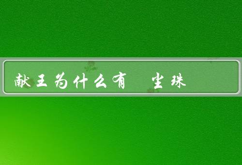 献王为什么有雮尘珠