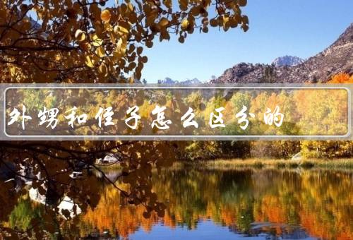 外甥和侄子怎么区分的