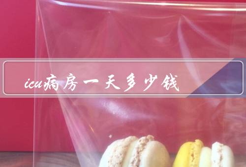 icu病房一天多少钱