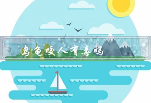 乌龟咬人有毒吗，被乌龟咬伤不会中毒（但不容易松口）