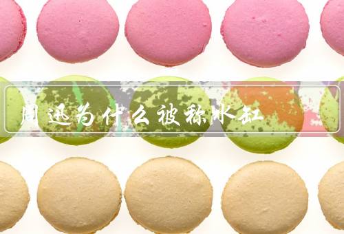 周迅为什么被称水缸