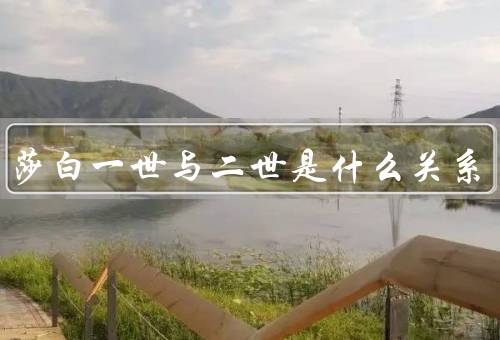 伊丽莎白一世与二世是什么关系