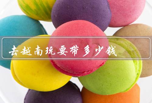 去越南玩要带多少钱
