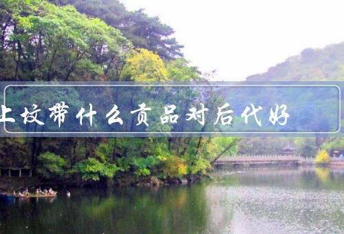 上坟带什么贡品对后代好