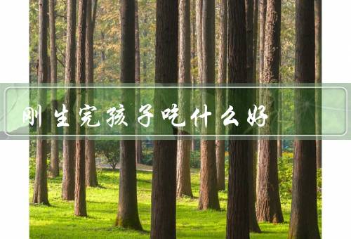 刚生完孩子吃什么好