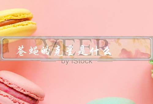 苍蝇的克星是什么