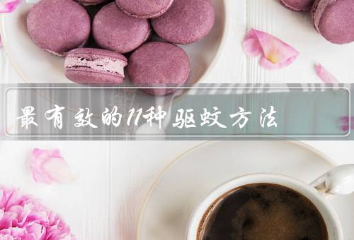 最有效的11种驱蚊方法