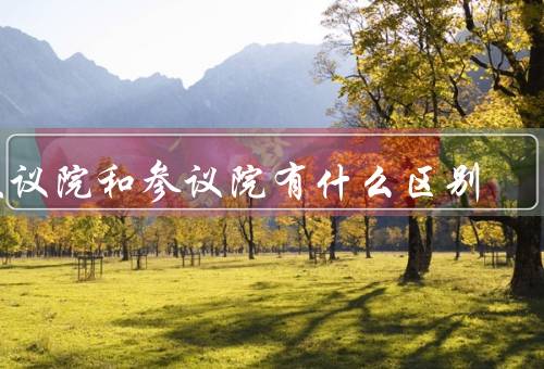 众议院和参议院有什么区别