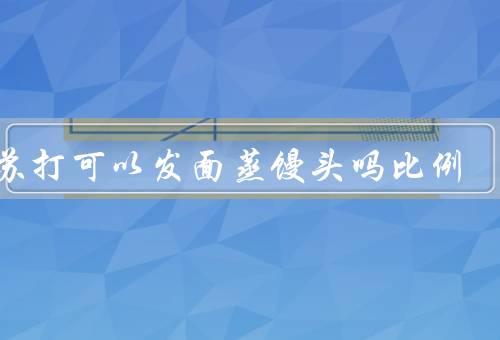 小苏打可以发面蒸馒头吗比例