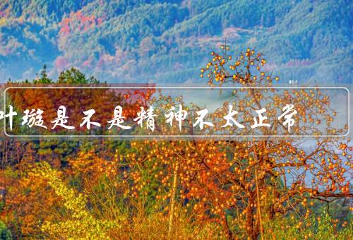 叶璇是不是精神不太正常