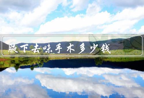 腋下去味手术多少钱