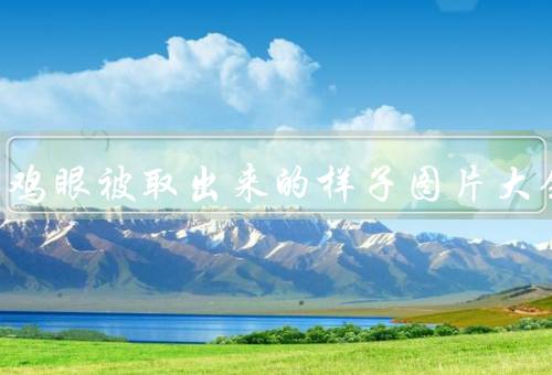真人的鸡眼被取出来的样子图片大全
