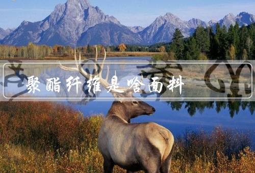 聚酯纤维是啥面料