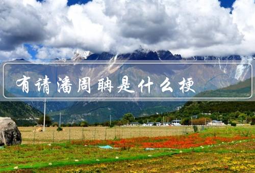 有请潘周聃是什么梗