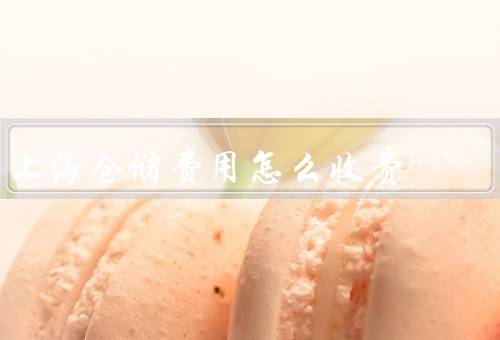 上海仓储费用怎么收费