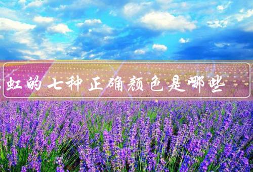 彩虹的七种正确颜色是哪些