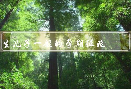 生儿子一般的孕期征兆，男孩胎动一般都比较强烈