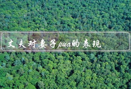 丈夫对妻子pua的表现