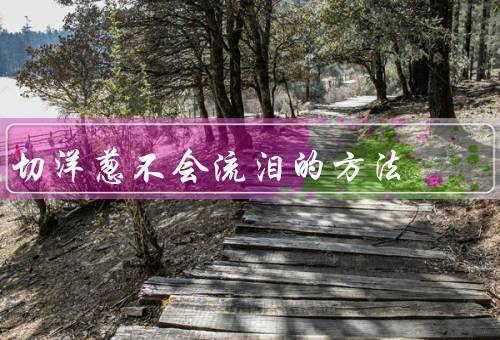 切洋葱不会流泪的方法